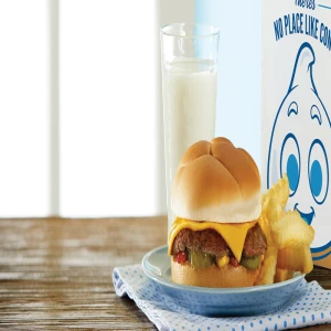 KIDS MEAL(COMES WITH FRIES)